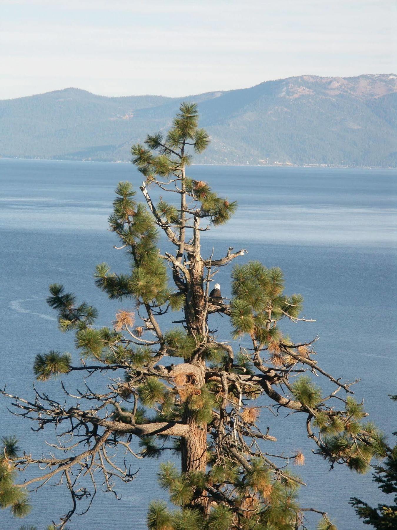 Where Eagles Fly Bed & Breakfast Elk Point Eksteriør bilde